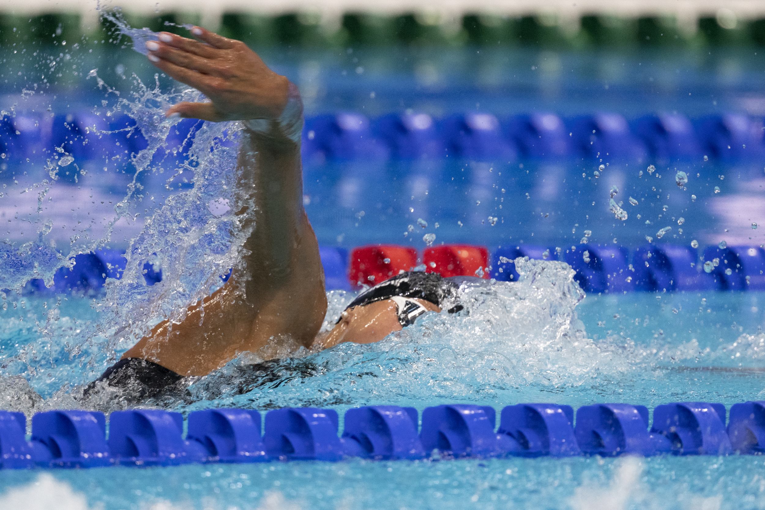 Seemanova 2021 05 17 preliminary